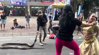Girl dancing with python snake. #trending #dance #python #video #travel #fyp #viral #fypシ #snake 