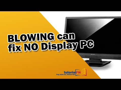 No Display or No Signal on Computer Monitor