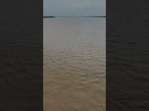Rain flow🌧️🌧️ #viral #viralvideo #youtubeshorts #shorts #nature #music #salaar #viral