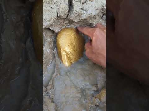 big gold dig #goldhunter