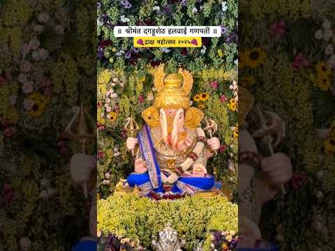 द्राक्ष महोत्सव | Shrimant Dagdusheth Halwai Ganpati | Pune #dagdushethganpati #shrimantdagdusheth
