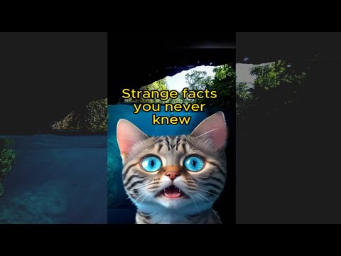 Hinatuan River | A river without a source in the Philippines | Strange facts you never knew #shorts
