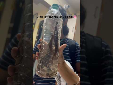 Life after BAMS | Expectations vs Reality 🔥| Medical Students Life #neet #bams
