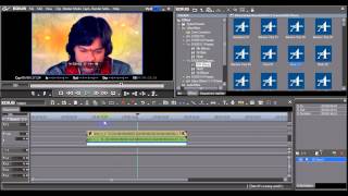 Procoder Installation Tutorial