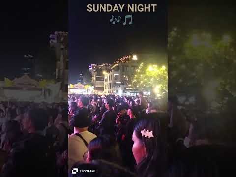 Live Concert. Sunday Night 🎶 🎵 #viral #viralvideo #shortvideo #cambodia #travel #vlog