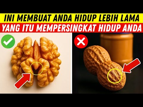 🌰 5 Jenis Kacang yang Bisa Menyelamatkan Jantung & Otak Anda 🧠❤️ | Rahasia Sehat untuk Lansia!