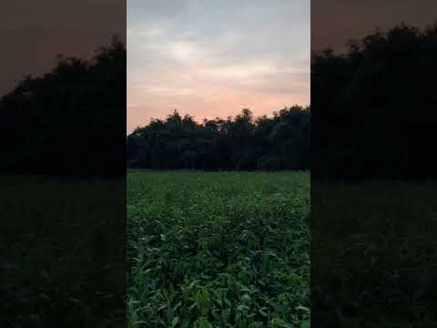 #naturelovers ❤️