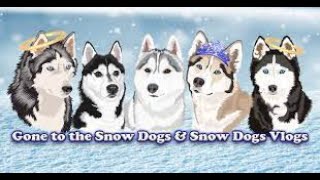 ​@PawsibleCuteDogs  recommends @GoneToTheSnowDogs