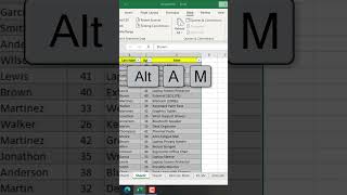 Insane Keyboard Shortcut in Excel