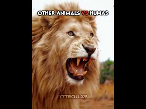 The Last One🤯💥#shortvideo #trollface #troll #edit