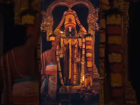 #govinda #tirumala #tirumalatirupati #ttdtemple #balaji #balajibhajan