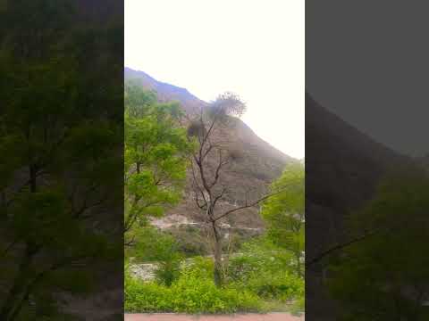 Grifon mountain view from IIT Mandi with uhl river #iitmandi #iit #iitjee #himachal #kahanisuno