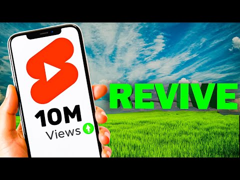 Shorts Channel Dead? Here's How to Bring It Back to Life!