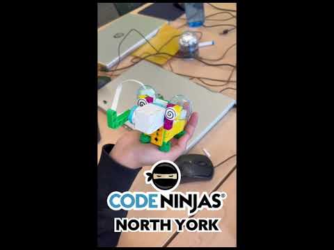 Code Ninjas North York Summer Camp Spotlight 2025!