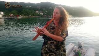Petit instant musical à Deshaies Full HD