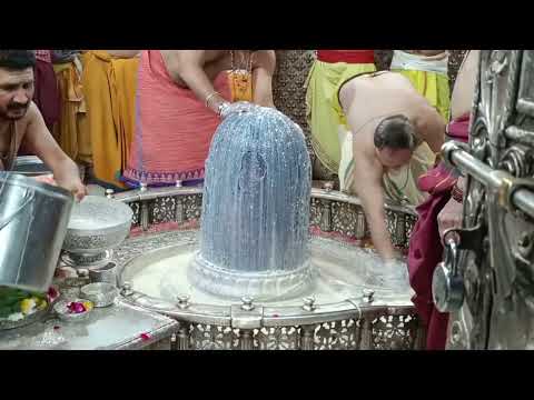 #bholenath #bholenathwhatsappstatus #whatsappstatus #viralshorts #viralvideo #holi
