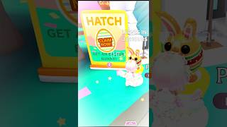 Hatching an Easter Bunny #AdoptMe #AdoptMeRoblox #AdoptMeCommunity #AdoptMeContent #AdoptMePets