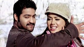 Ashok Songs - Mumtajmahalu - Jr. NTR, Sameera Reddy - Ganesh Videos