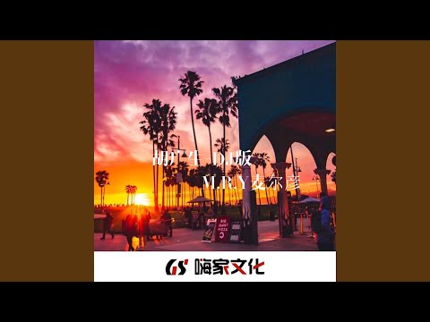 胡广生 (DJ版)