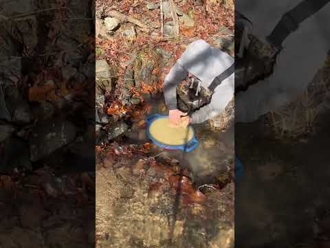 Testing My New Red Gold Pan… This Color Is a Game Changer!