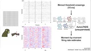 Neural Population Structure and Complexity | Chethan Pandarinath | NeuroFM Workshop