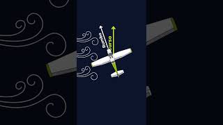 Curso vs. Rumbo: Desvelamos sus diferencias en #Aviación #CursoVsRumbo #Flightdemy