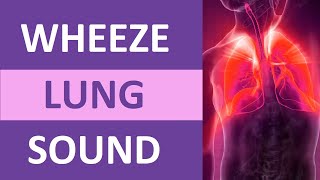 Wheezing Lung Sound Audio (High Pitch) | Nursing Adventitious Lung Sounds NCLEX Review