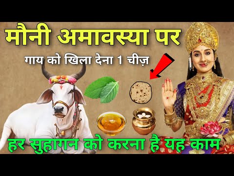 मौनी अमावस्या 😱 गाय को खिला देना 1 चीज़ 😱 हर सुहागन को करना है ये काम Mony Amavasya