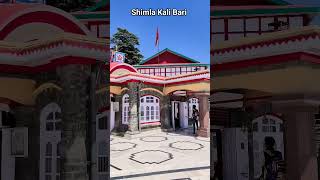 Walking tour at Shimla in a day!#Shimla #ShimlaDiaries #OneDayTrip #HillStationVibes #TravelReels