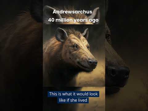 Andrewsarchus if it lived