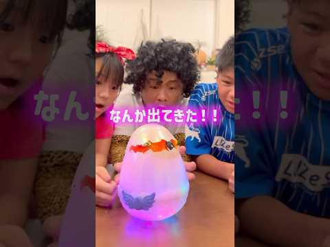 巨大なたまご　孵化に成功した家族　🐣🐤😁 #shorts #funny #おもしろ