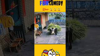 funny comedy video #funny #funnycomedy #funnyshorts #funnyvideo #youtubeshorts #funnyperformance