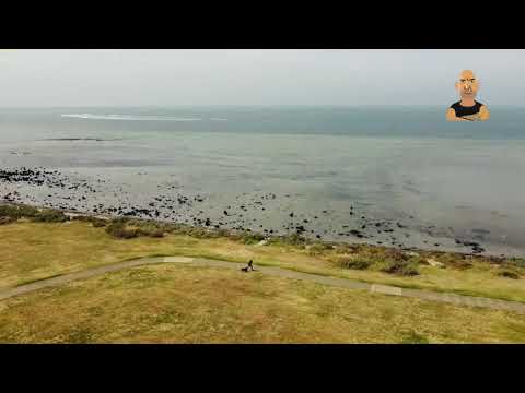 2020.11.21 EltonY ~ DJI Mini 2 ~ Dog Attack 1080