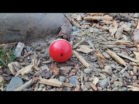 Tofino & Lake Trip