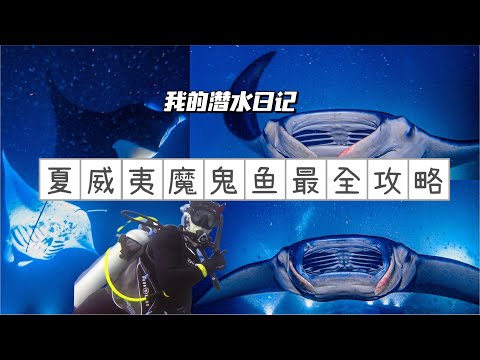 [我的潜水日记|2] 想看魔鬼鱼🐟Manta Ray 看着一篇攻略就够了🔥 #魔鬼鱼 #mantaray #manta #diving #潜水 #潜水女孩