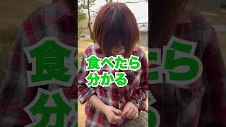 はちにプチドッキリしたはずなのに逆に驚かされた!?#shorts＃スペースウォーターチャンネル