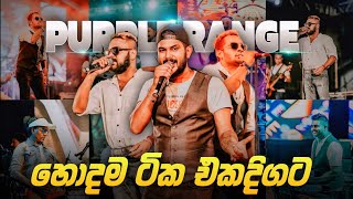 Purple Range New Hit Nonstop Collection 2025 | Top Hit Band Songs | Sinhala Live Show
