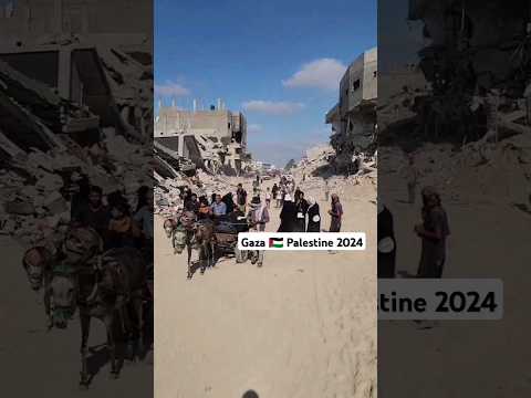 what life like in Gaza 🇵🇸 Palestine 2024 moved around by Israel army #news #gaza #palestine #shorts