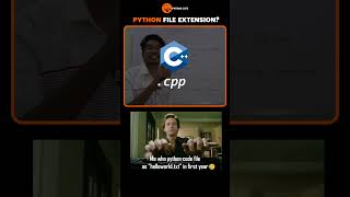 PYTHON file Extensions