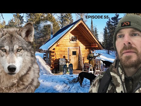 WOLVES, Loft Chinking, Bed-frame, Shelves |EP55| Log Cabin Build on Off-Grid Homestead