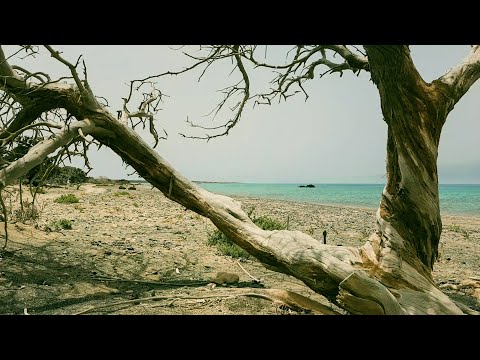 Crete, Greece – Chrissi Island | Why to visit?