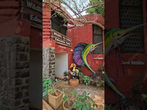 PONDICHERRY #pondicherry #pondicherrytour #travel #travelvlog #tamilnadu #travelgram #happiness #sma