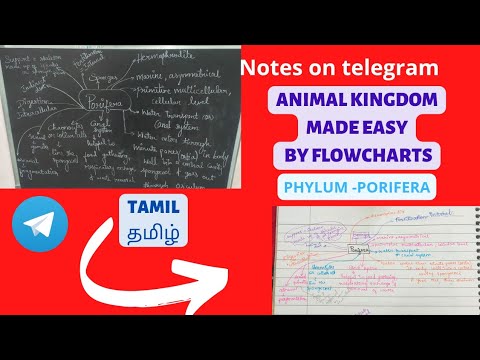 ANIMAL KINGDOM IN TAMIL|Biology neet tamil|phylum porifera line by line tamil