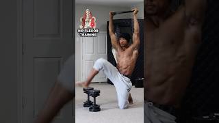 Hip Flexor Training #hipflexors #homeworkouts #corestability #dumbbellworkout #sportsperformance