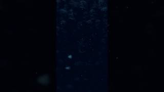 ELA VIRA MORTAL (ULTRA SLOWED) | #slowed #music #aveeplayer #zmusicc #phonk #phonk_music #fyp