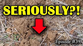 METAL DETECTING HUGE FARM FOR LOST RELICS | Digging History ‘76