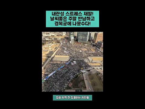 [현장] 내란성 스트레스 재발! 주말 반납하고 경복궁 출근