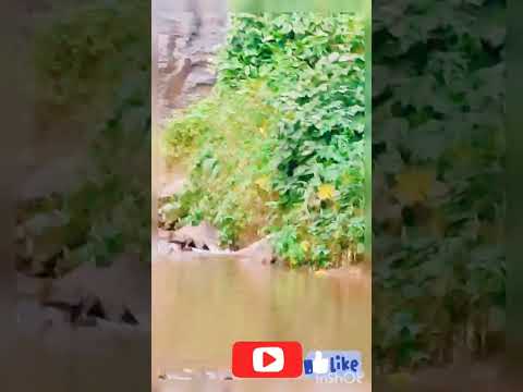 #waterfall #pleasesubscribe #travel #new #nature