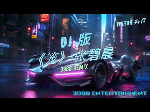 笼 - (Dj 版) 为何爱我者予我牢笼 《消失的她》片尾曲 慢摇 TikTok 抖音3988 Entertainment