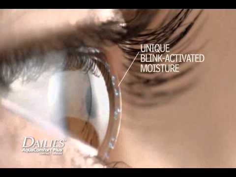 DAILIES® AquaComfort Plus® Contact Lenses